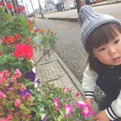 なあのプロフィール