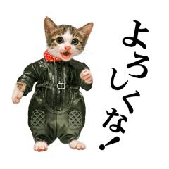 明日天気になれのプロフィール