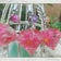 　　*‐‐‐　きら☆きら　‐‐‐*