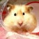 おＨＡＮＡ☆ディ　～ｱﾒｺｶ・ｲﾝｺ・Disneyにfallin’LOVE～