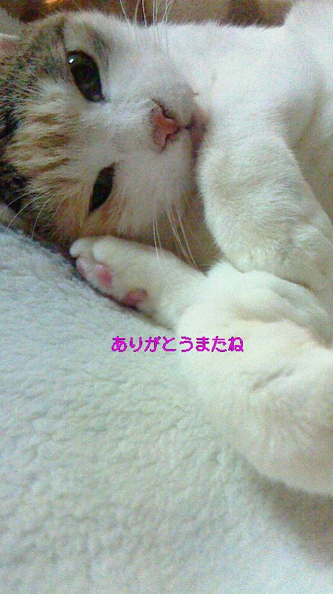 悲しいクローンの君は誰
