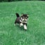輝月のサムネイル