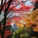 悪魔のように細心に