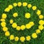 画像 造花ハンドメイド通販chouchouのユーザープロフィール画像