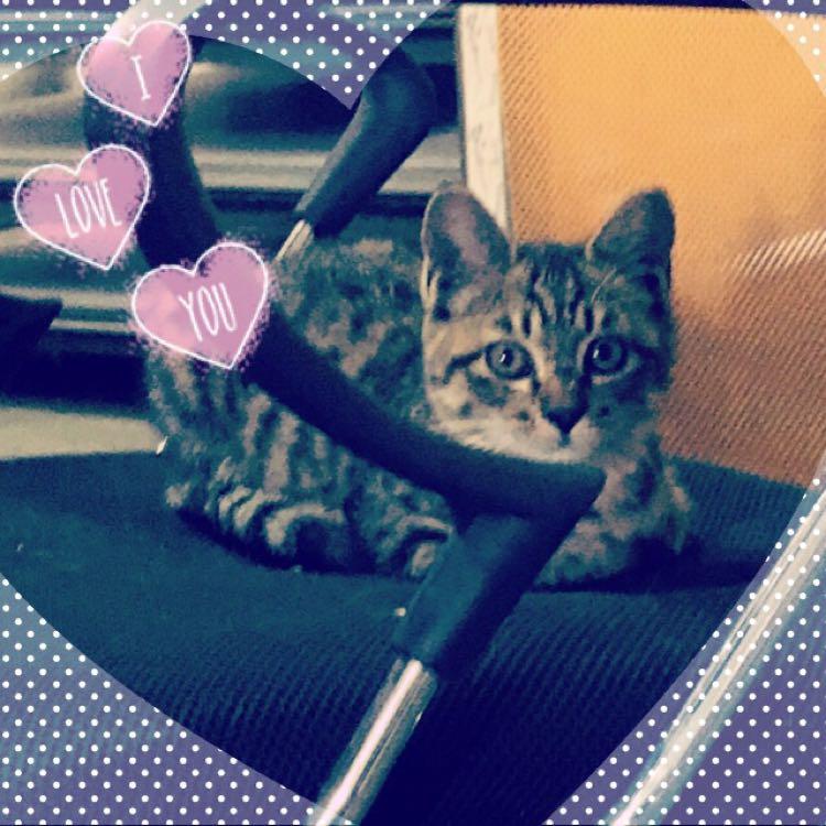 ゆっきー♪