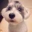 pochihtfのサムネイル