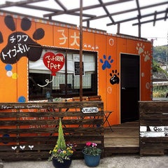長崎県 子犬販売 ブリーダー Goo Houseのブログ