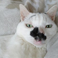 まきこのプロフィール