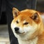 あゆっぺのサムネイル