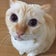 misaki☆のブログ