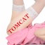 TOMCATのサムネイル