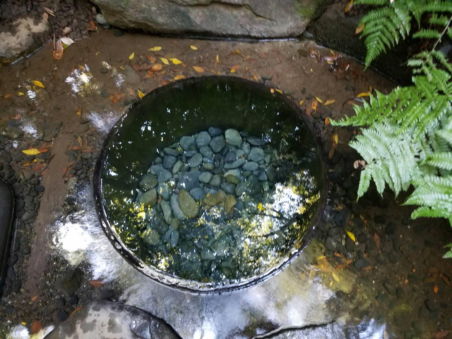 ばぁばんび