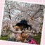 ちわぽめ☆うめざわウメ子のサムネイル