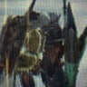 takuyaのプロフィール