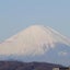 kamekichiのサムネイル