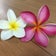 365日BeautyDay♡素敵な女性になるために