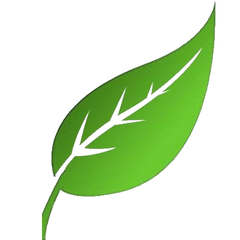 c-vintのプロフィール