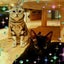 画像 himekuwa with catのユーザープロフィール画像
