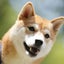 rikumamaのサムネイル