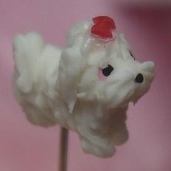 みいみいのプロフィール