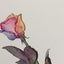 restart1223のサムネイル