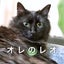 画像 【オレのレオ】黒猫冒険活劇のユーザープロフィール画像