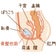 ソープ嬢の日々   特殊浴場潜入