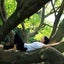 pranicyogaのサムネイル