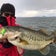 ペコペコバス釣り&サーフィン　琵琶湖、池原ダム、七色ダム、阪南、泉南、奈良、和歌山野池、ダム、川