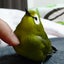 イソちゃんのサムネイル