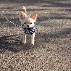 みるきーのプロフィール