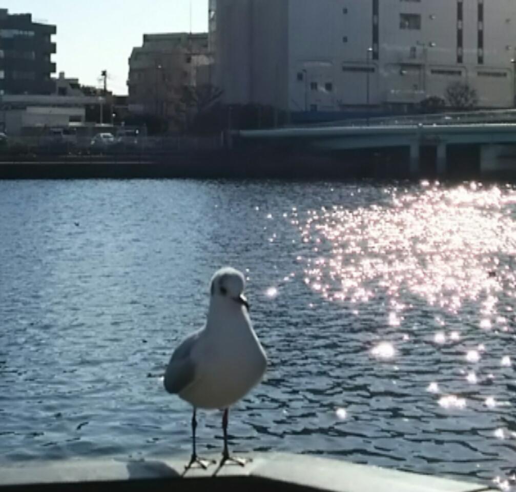 恋するレシピ 理想のオトコの作り方 ｍの映画カフェ