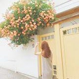 渡辺桜 || Diah Imbarsiwi