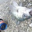 タカヒロのサムネイル