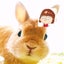 モキュ様のおかんのサムネイル