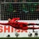 GK育成に悩まない！！GK未経験者でも、GKをすぐに上達する方法を世界に発信続けるGK術