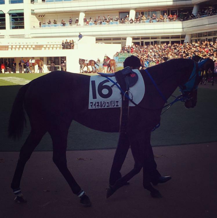 ヒシマサル 骨折 W 競馬で勝つためのブログ ヒシマサル 骨折 W 競馬で勝つためのブログ