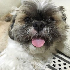 Love　PoUAのプロフィール