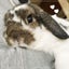 eru-tanのサムネイル