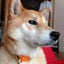 なお母ちゃんのサムネイル