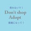 ゆめのみちのサムネイル