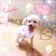 ☆SMILEPOINT☆ 保護わんこ❤︎にこにこ日記♪…U^ェ^U …