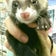 Neko no Kanzumeのブログ
