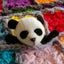 画像 panda*のブログのユーザープロフィール画像