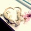 geckoloveのサムネイル
