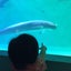 おババのサムネイル