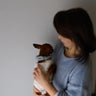Ｈａｓｍｉｎｇのプロフィール