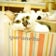 猫カフェゆる猫【閉店しました♪】