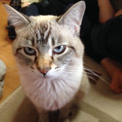あたのプロフィール