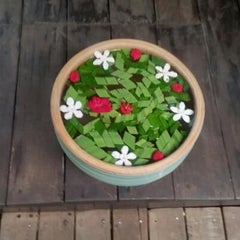 siratyaのプロフィール